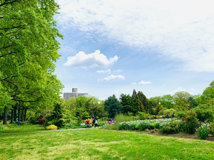 IMG_1271.jpg?type=w966