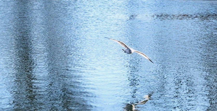 U0WQcTvHU90mFp-rS6la29uSyu4