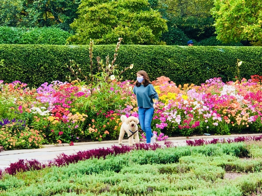 IMG_2561.jpg?type=w966