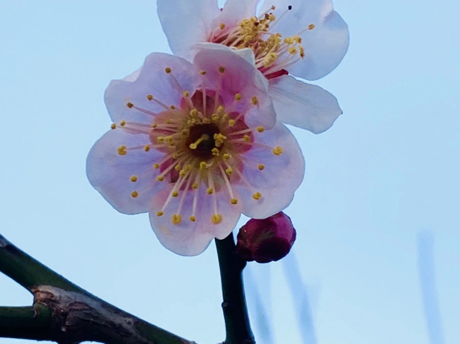 IMG_2320.jpg?type=w966