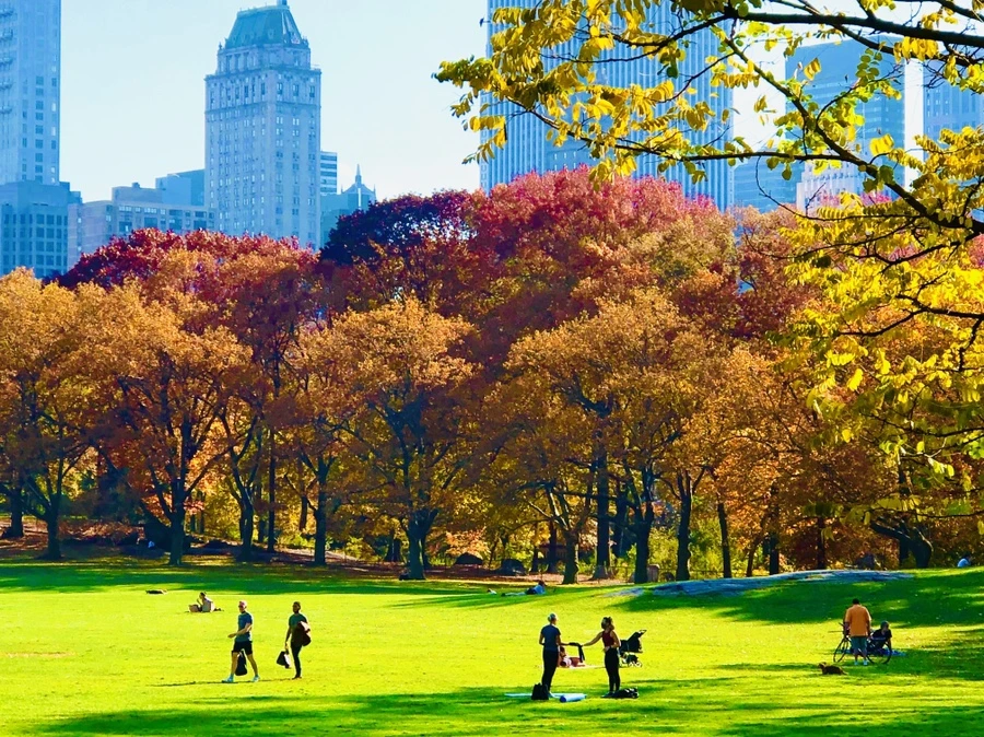 IMG_4355.jpg?type=w966