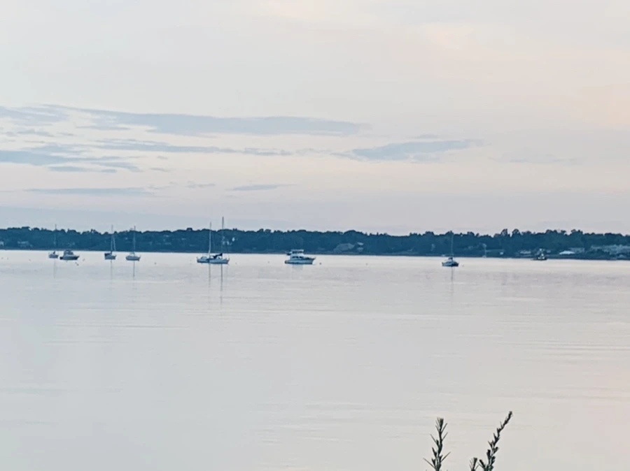 IMG_0939.jpg?type=w966