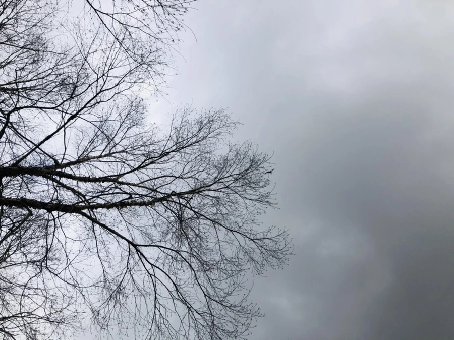 IMG_3453.jpg?type=w966