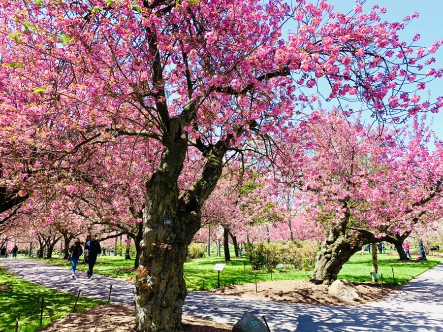 IMG_4810.jpg?type=w966