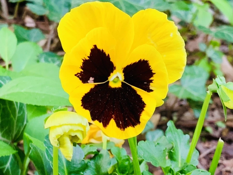 IMG_9040.jpg?type=w966