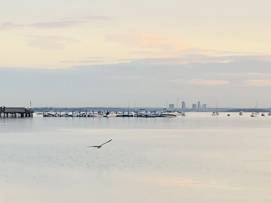 IMG_0951.jpg?type=w966