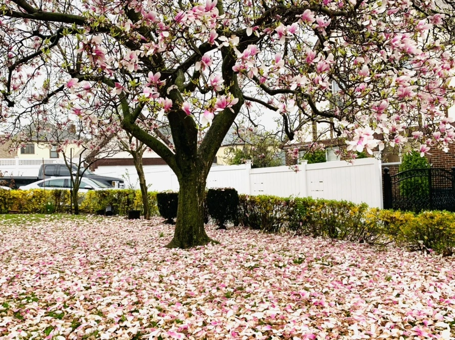 IMG_2222.jpg?type=w966