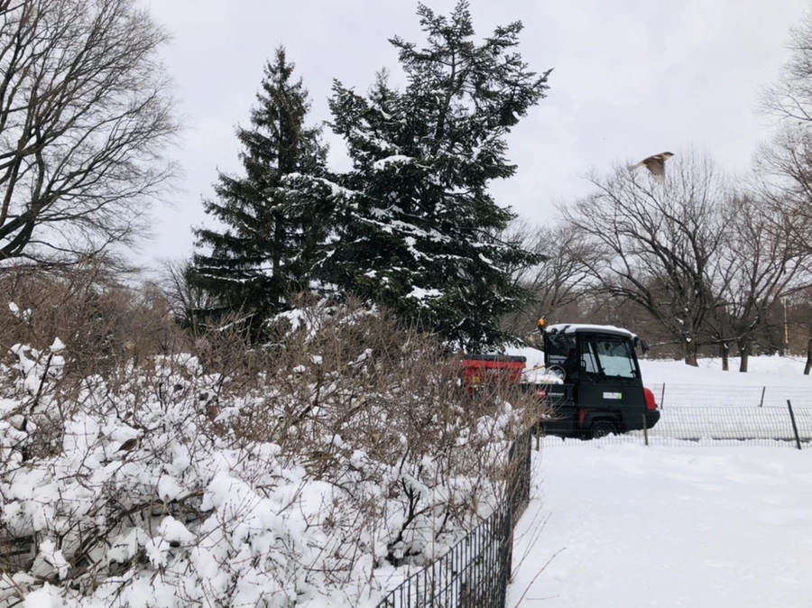 IMG_9547.jpg?type=w966