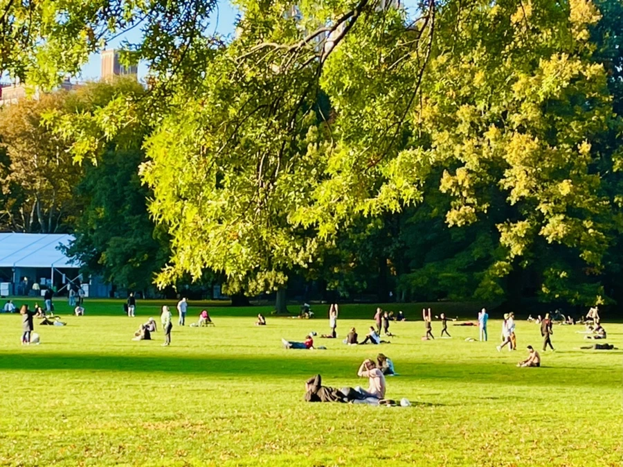 IMG_1364.jpg?type=w966