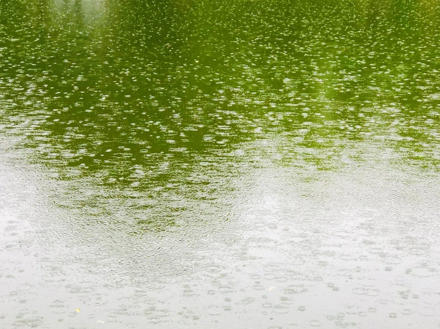 IMG_3248.jpg?type=w966