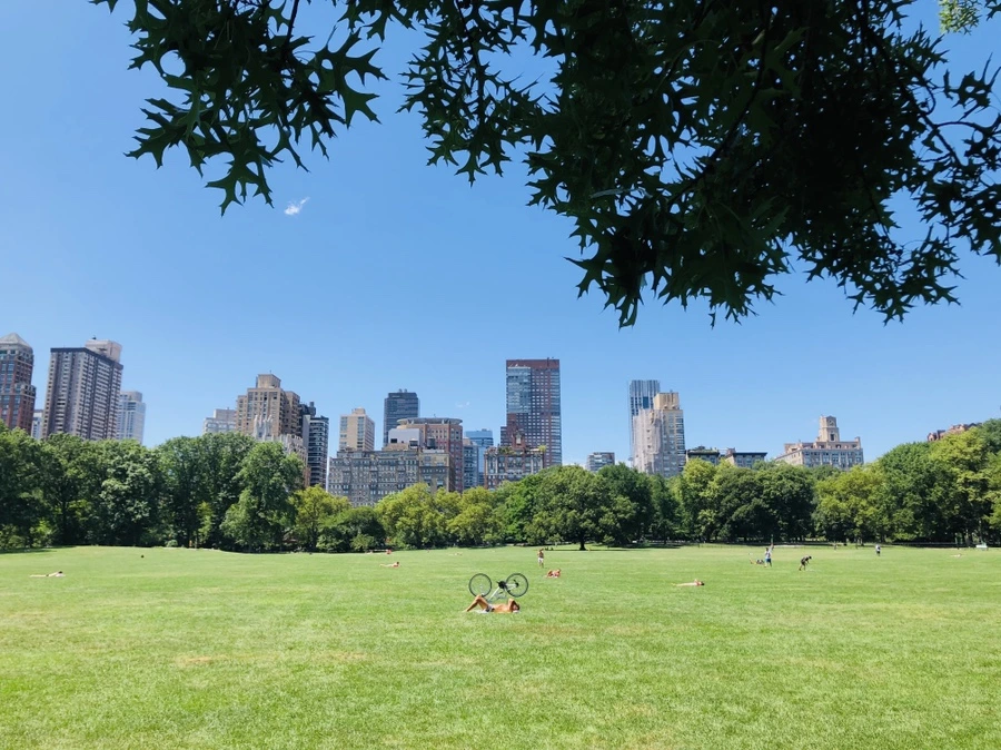 IMG_5712.jpg?type=w966