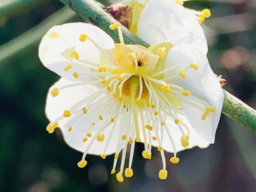 IMG_0250.jpg?type=w966