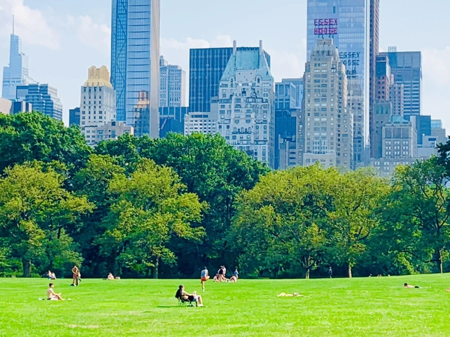 IMG_1787.jpg?type=w966