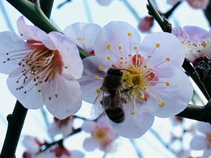 IMG_4176.jpg?type=w966