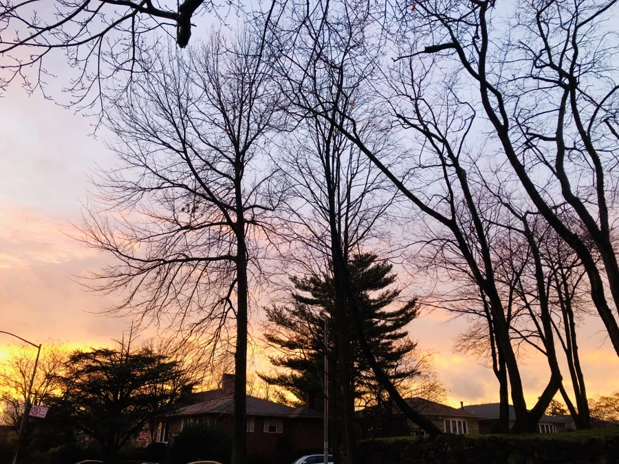 IMG_6861.jpg?type=w966