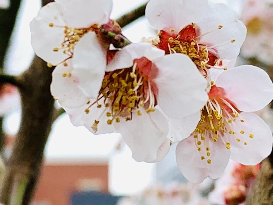 IMG_3581.jpg?type=w966