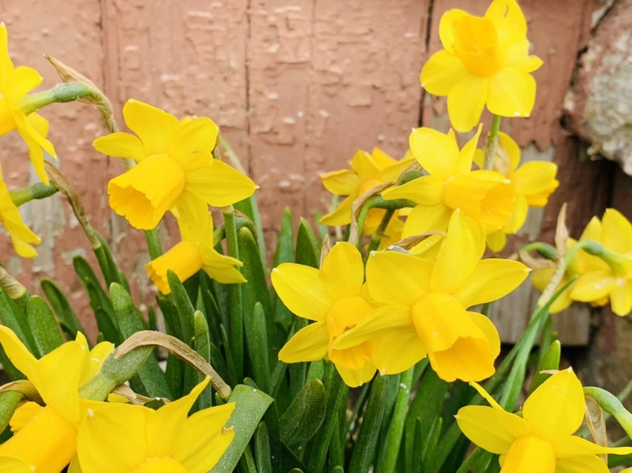 IMG_3204.jpg?type=w966