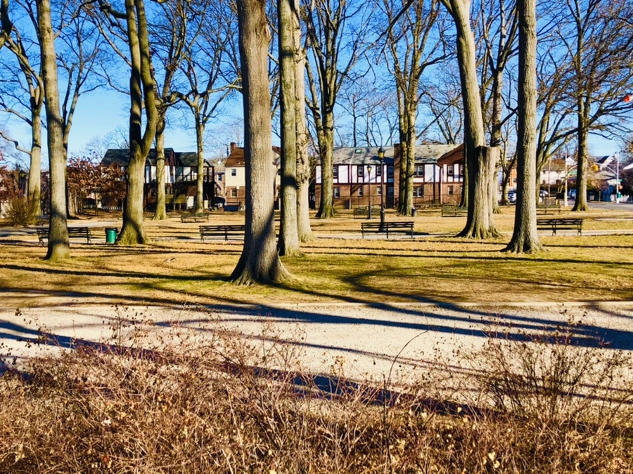 IMG_8153.jpg?type=w966