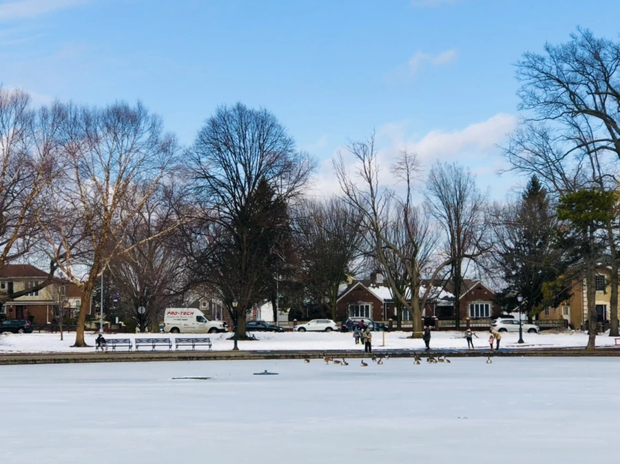 IMG_2866.jpg?type=w966