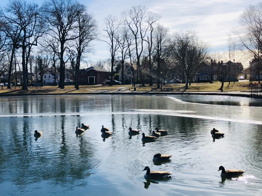 IMG_5539.jpg?type=w966