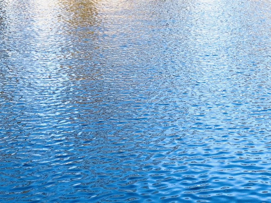 IMG_4044.jpg?type=w966