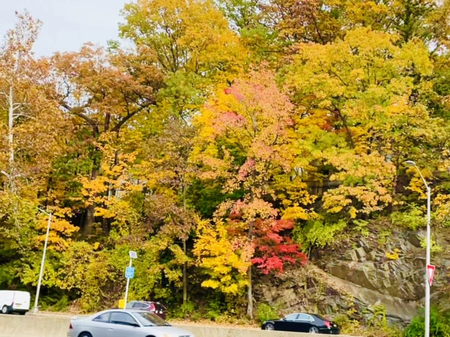 IMG_2297.jpg?type=w966