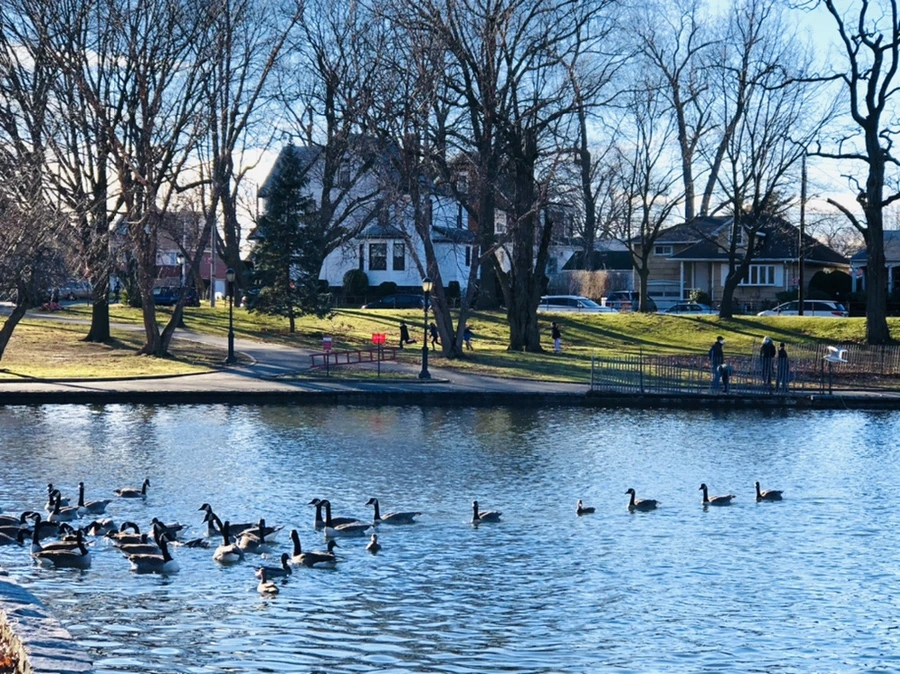 IMG_9273.jpg?type=w966