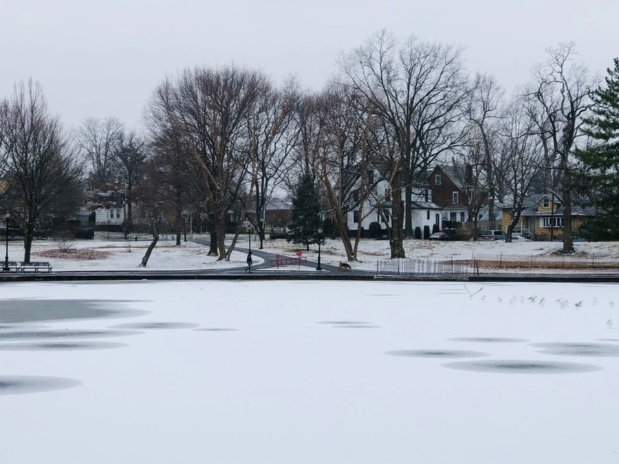 IMG_6187.jpg?type=w966