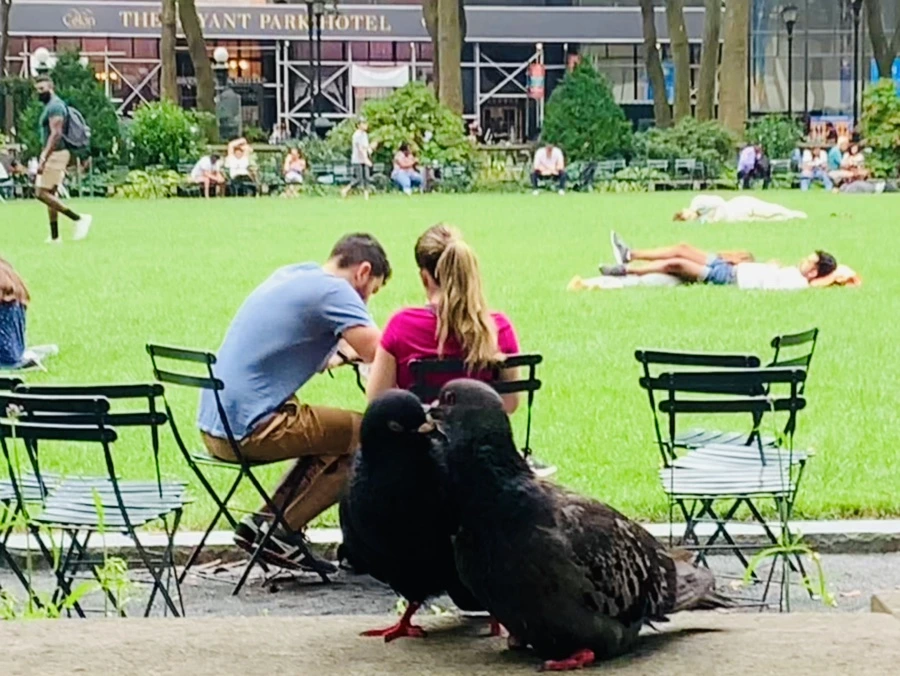 IMG_5014.jpg?type=w966