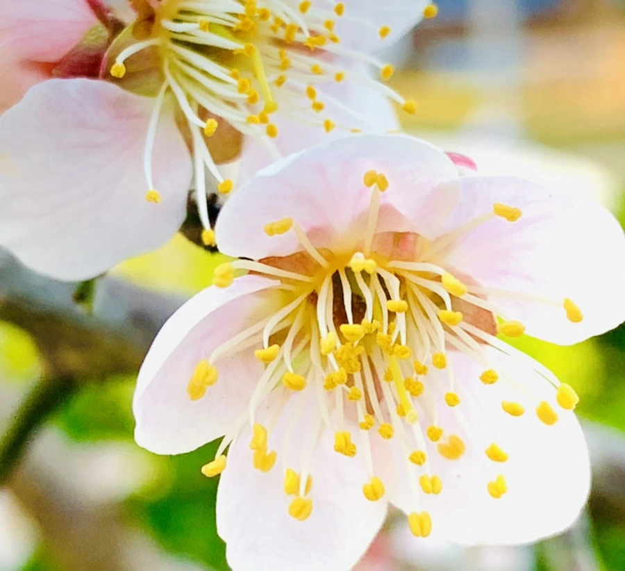 IMG_0783.jpg?type=w966