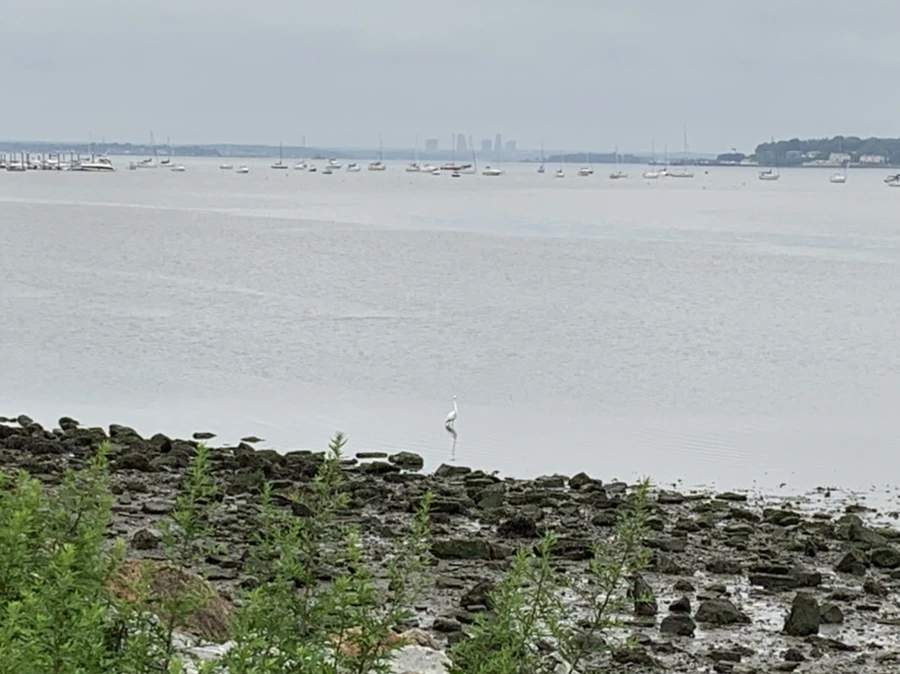 IMG_3626.jpg?type=w966