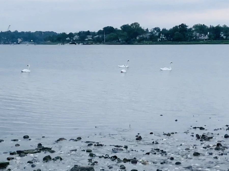 IMG_0734.jpg?type=w966