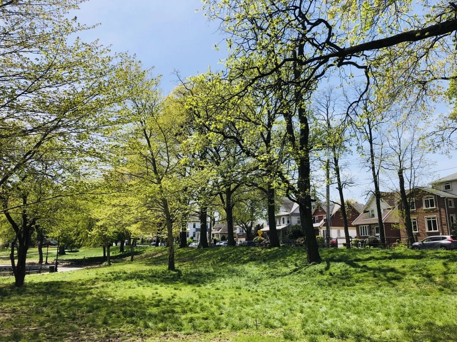 IMG_3906.jpg?type=w966