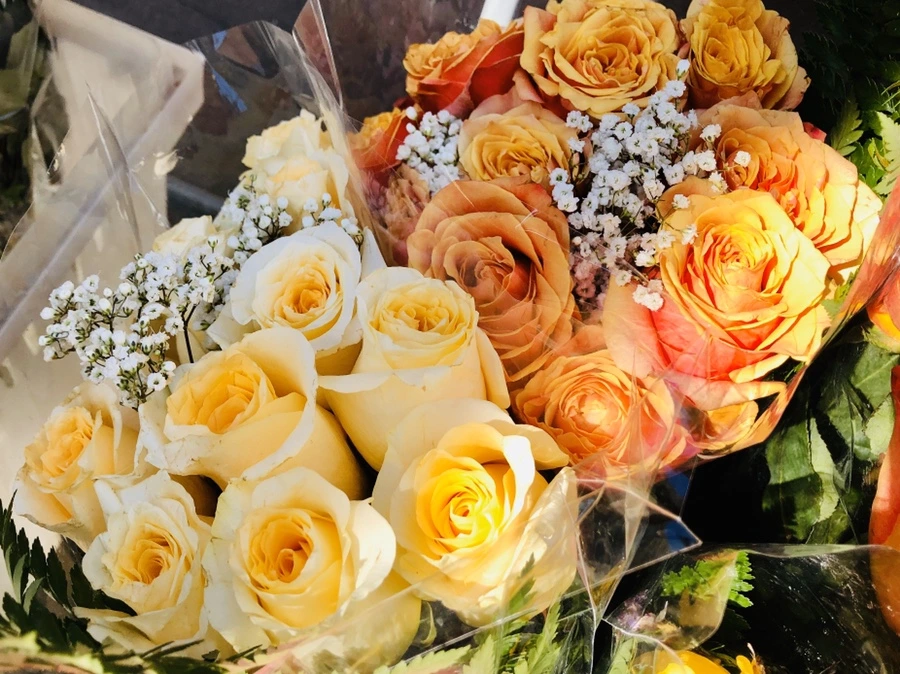 IMG_4915.jpg?type=w966