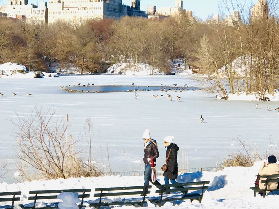 IMG_9819.jpg?type=w966