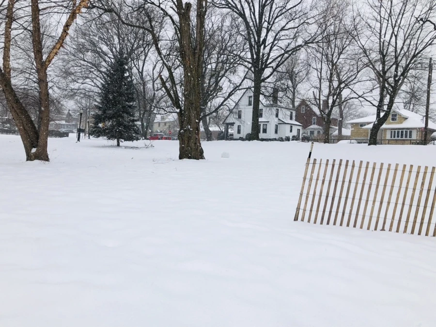 IMG_3349.jpg?type=w966