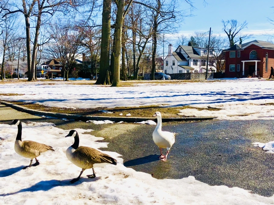 IMG_4937.jpg?type=w966