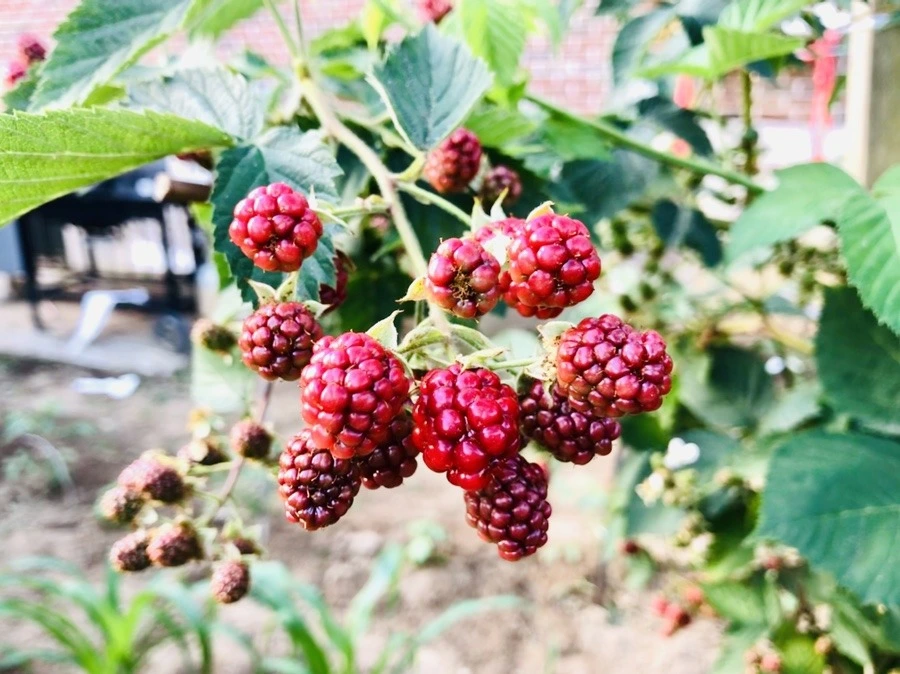 KxnKcqCO9eIIQxgqXUdrDnyNGDg