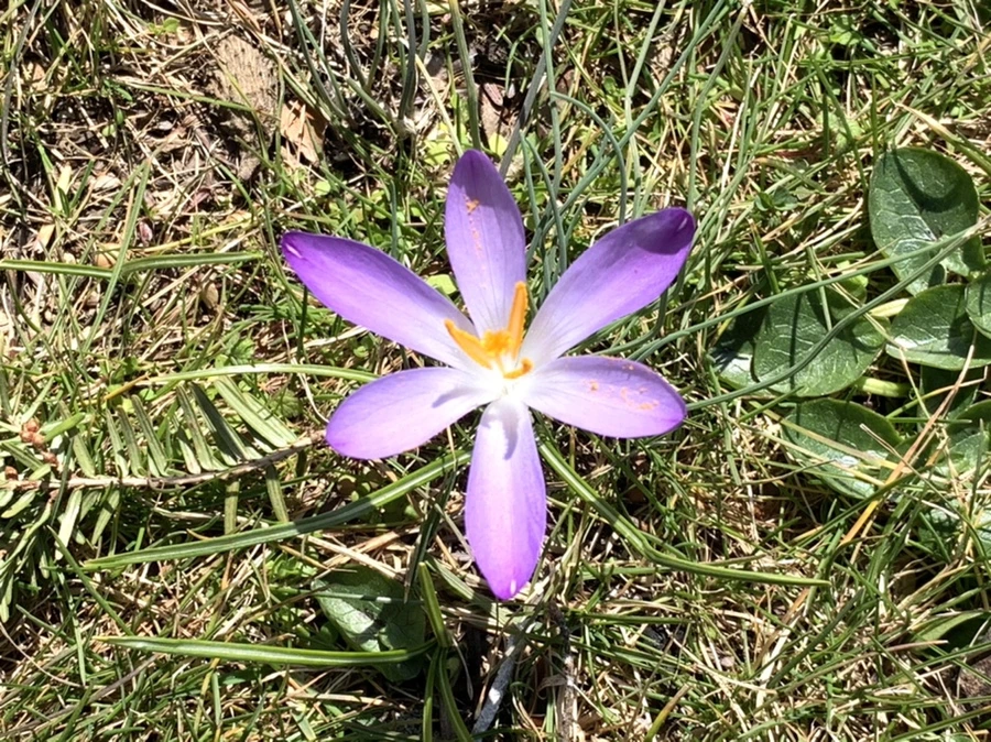 IMG_9235.jpg?type=w966