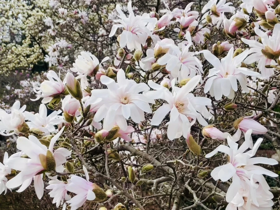 IMG_6696.jpg?type=w966