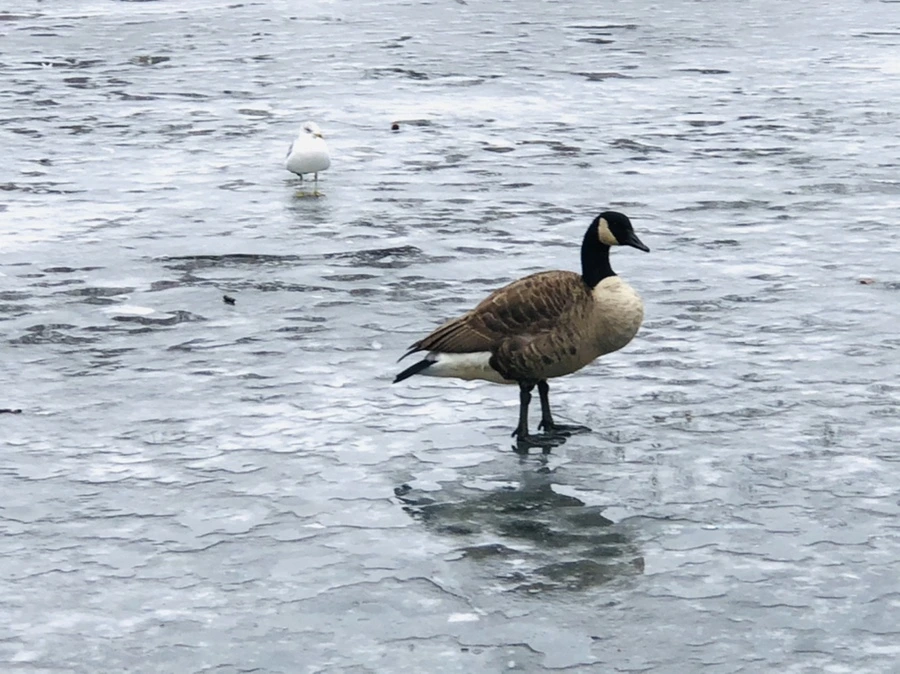 IMG_6181.jpg?type=w966