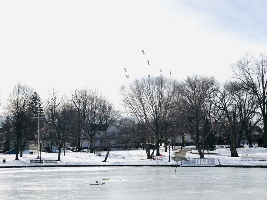 IMG_3208.jpg?type=w966