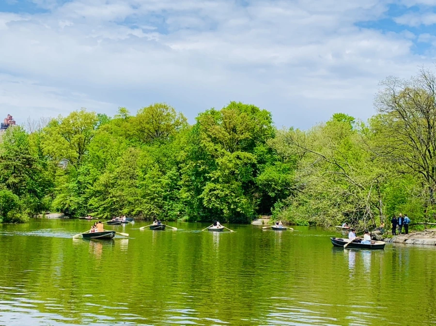 IMG_8818.jpg?type=w966