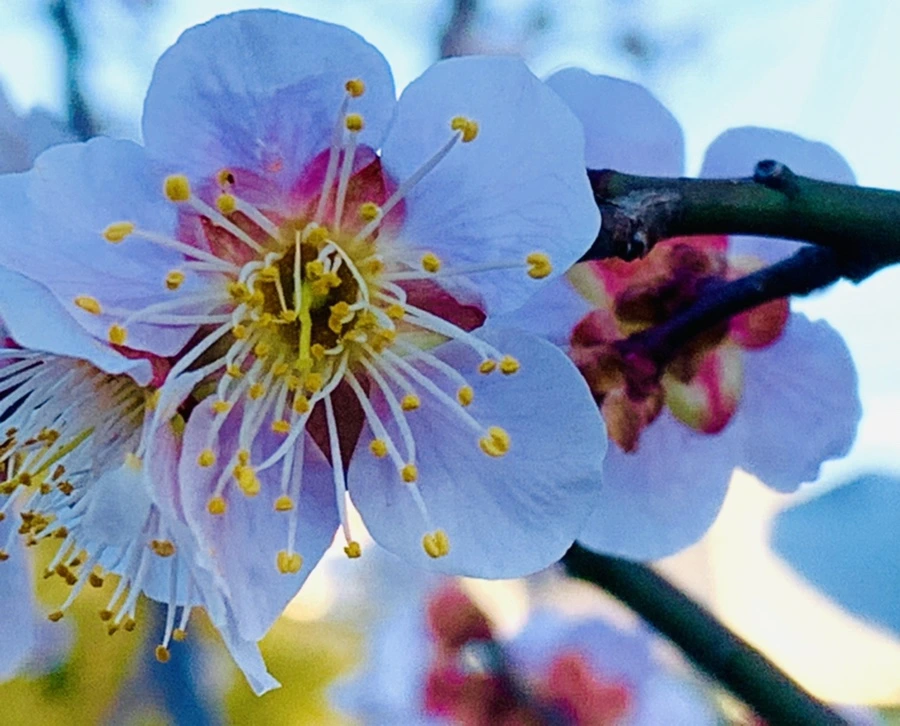 IMG_0834.jpg?type=w966