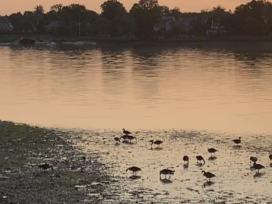 IMG_9583.jpg?type=w966