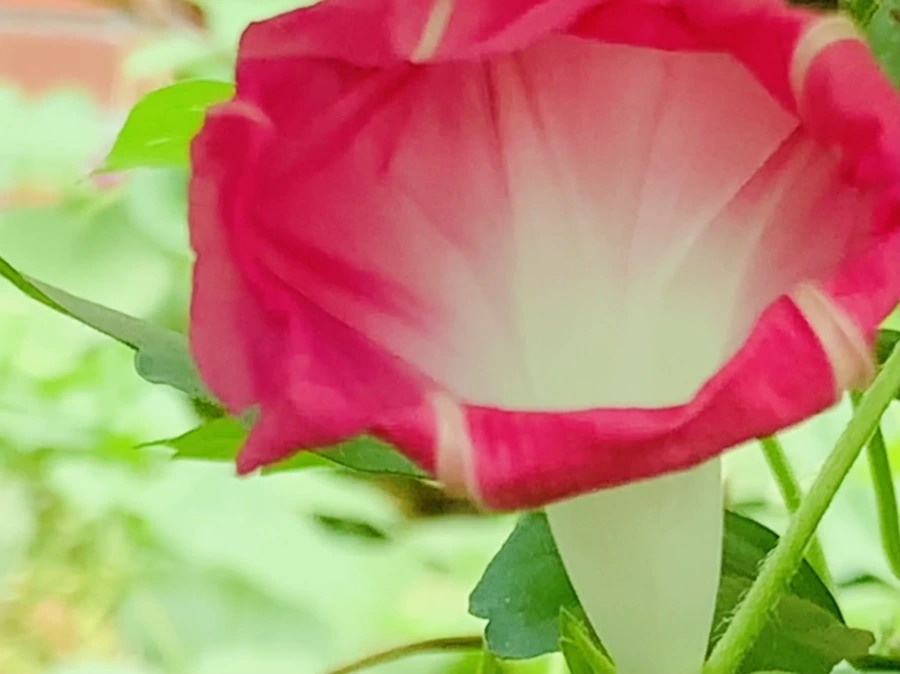 IMG_6002.jpg?type=w966