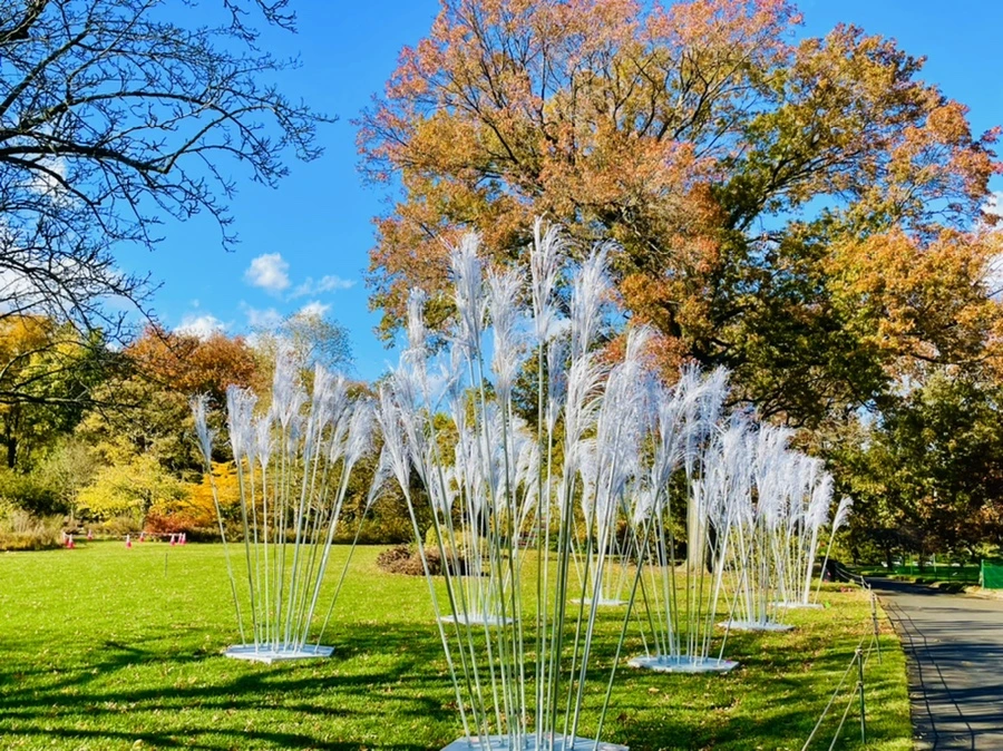 IMG_3145.jpg?type=w966