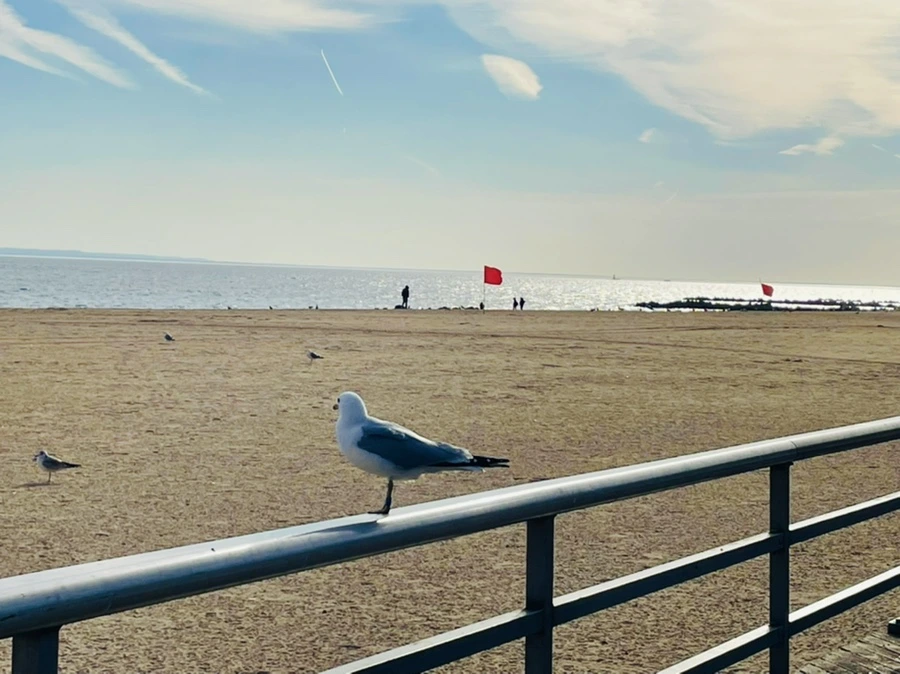 IMG_5024.jpg?type=w966