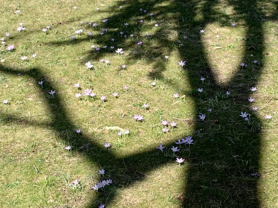 IMG_9219.jpg?type=w966