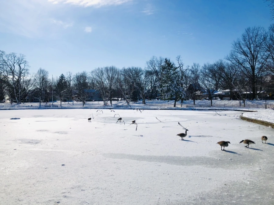 IMG_1336.jpg?type=w966